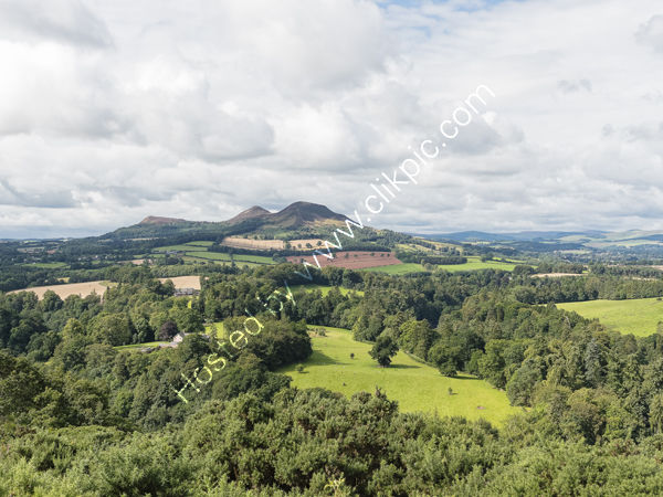 Scott'sView