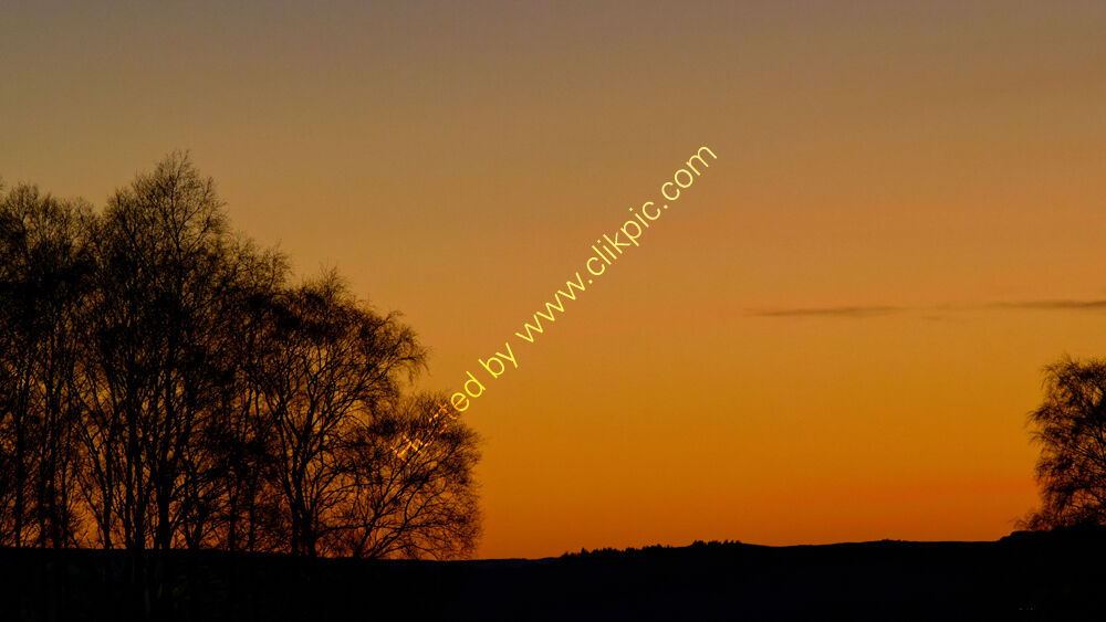 Winter sunset