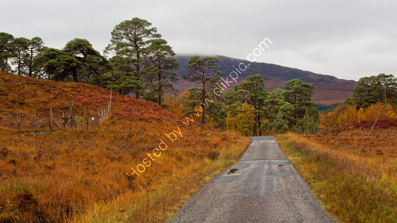 Autumn colours 2, Inveroran,