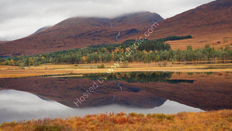 Autumn colours 3, Inveroran,