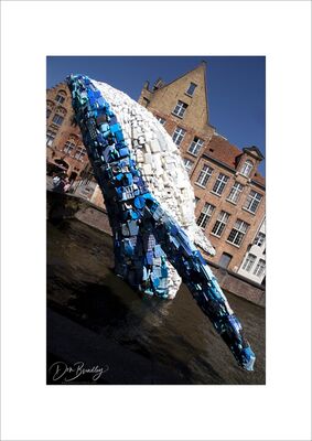 Skyscraper (the Bruges Whale), Bruges