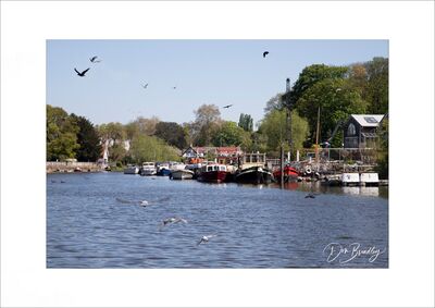 Twickenham Riverside