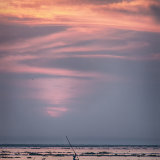 Kerala