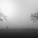 Misty Morning