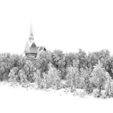 The Church