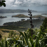 New Zealand