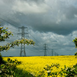 Power Lines