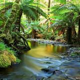 Mount Mee National Park