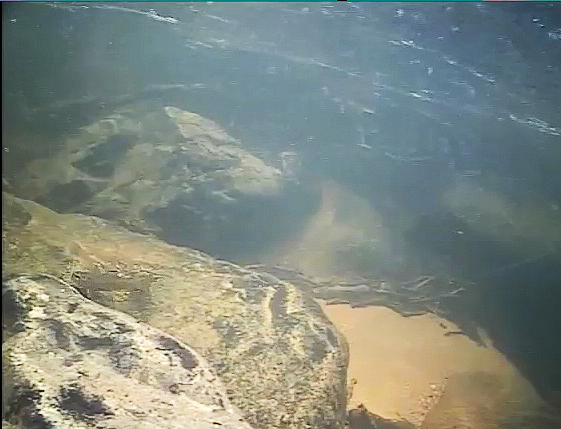 Underwater view