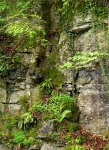 Hudswell quarry face