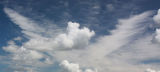 CLOUDS OF A FEATHER 1