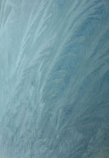 FEATHERS IN THE ICE