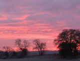 PINK SKY