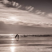 The Silver Surfer.