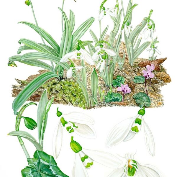 2407 G Lodestar 2 WEB