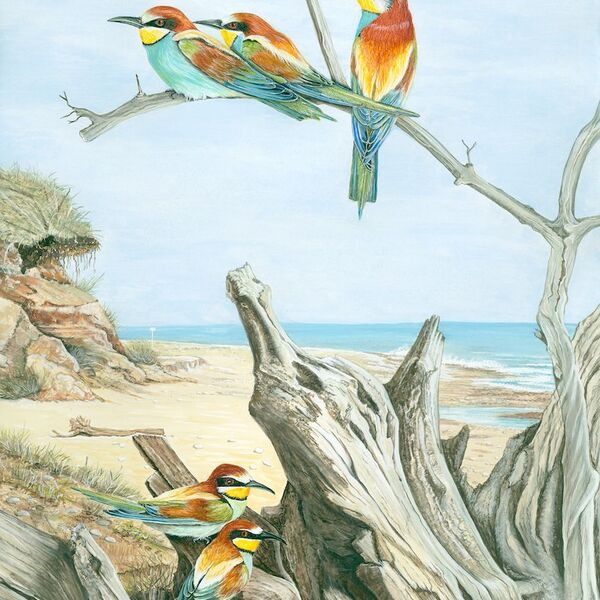 2408 Bee eaters HDR USE WEB