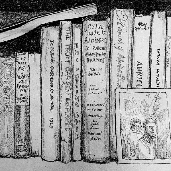 Lesley books