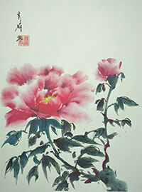Peony