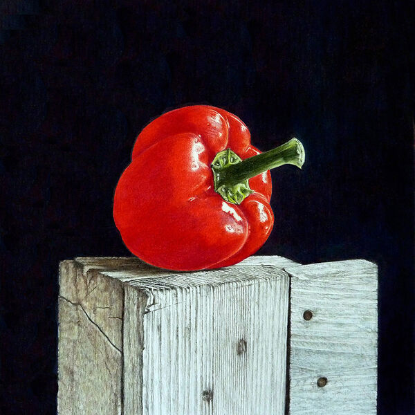 Red Hot Pepper Coloured Pencil on Paper 34 x 28 cm