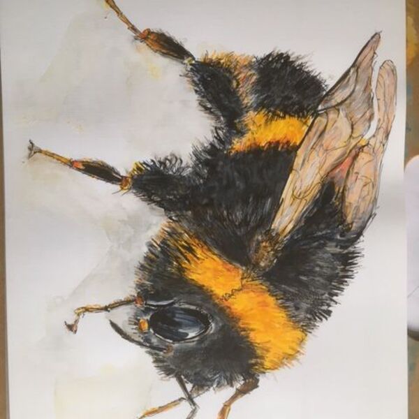 Study of a bee in acrylic inks and paint