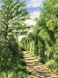 Summer shadows - the Drift Harston