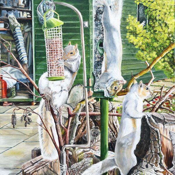 The Forced Immigrant WEB