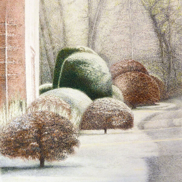 Winter Garden Coloured Pencil on Paper 20 x 29 cm