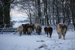 Off back to the fields