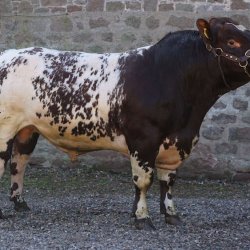 Dunsyre Hamlet