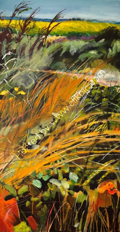 'Searching for sunflowers, Reculver'