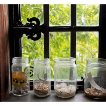 Jars of Seeds