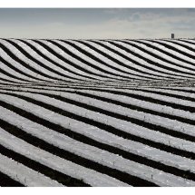 Polythene Furrows