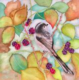Autumn Blackberries & Long tailed Tit