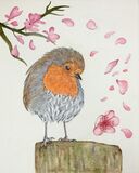A Feathered Angel