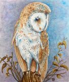 British Wildlife & Landscape