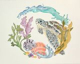 The Turtle, Sea & Seashells