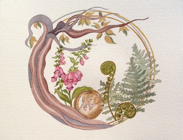 Woodland Beauties - Circles of Nature