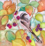 Autumn Hedgerow & Longtailed Tit