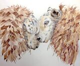 British Wildlife & Landscape