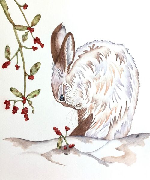 Snowberry the Hare