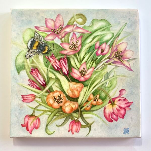 Tulips & Bumble Bee