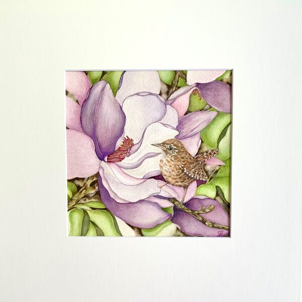 The Magnolia Tree & Little Wren