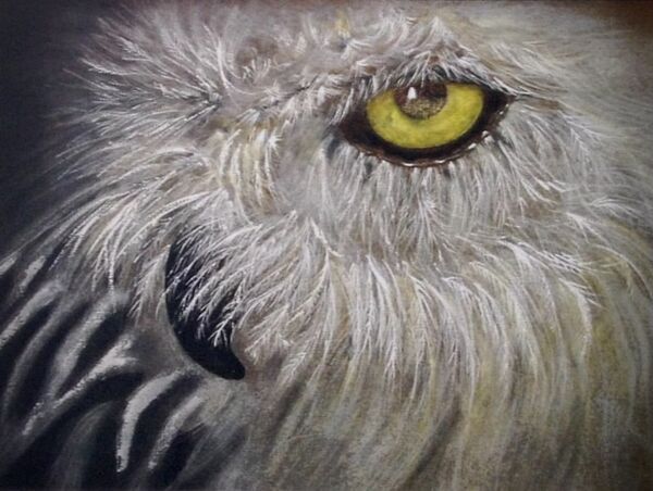 “Snowy Vision”