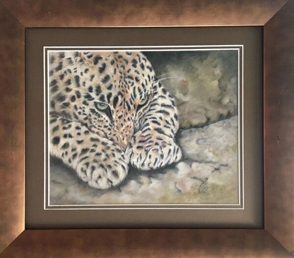 “Paws” - Amur Leopard