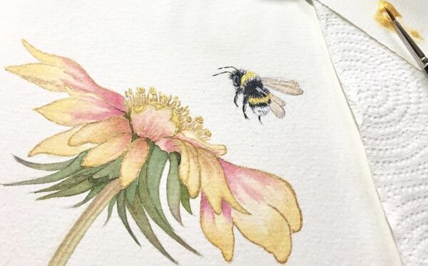 Daisy & Bee