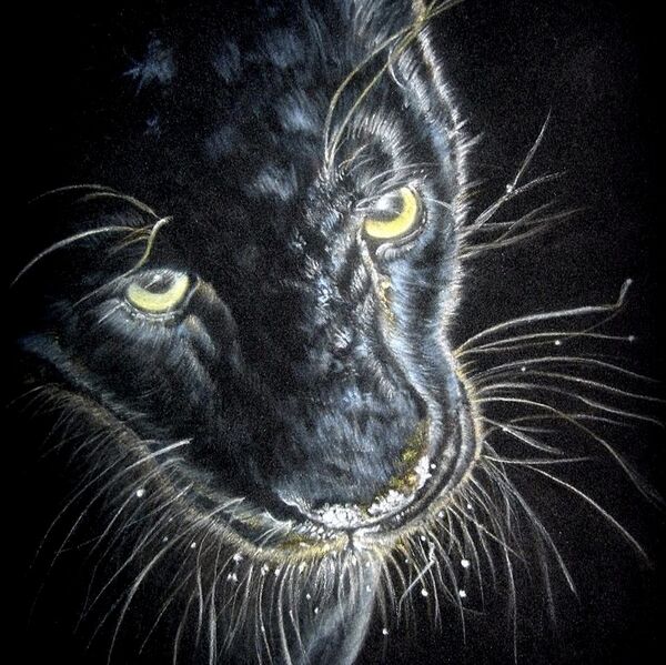 Black Leopard