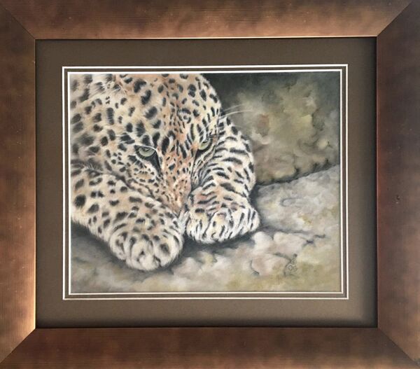 “Paws” - Amur Leopard