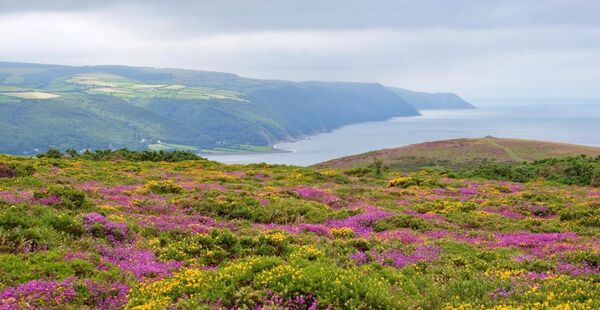Exmoor - Home page