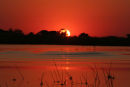 Sunset, Okavango Delta