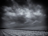 Field view, Flözlingen